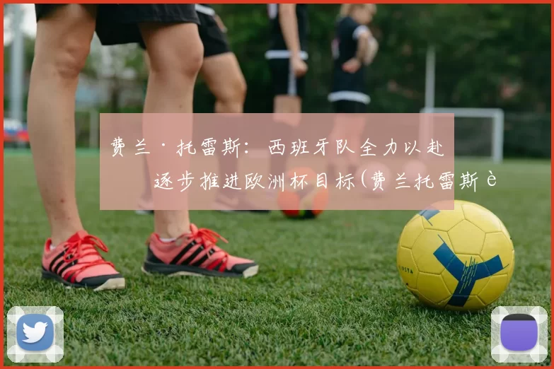 费兰·托雷斯：西班牙队全力以赴，逐步推进欧洲杯目标(费兰托雷斯转会曼城)