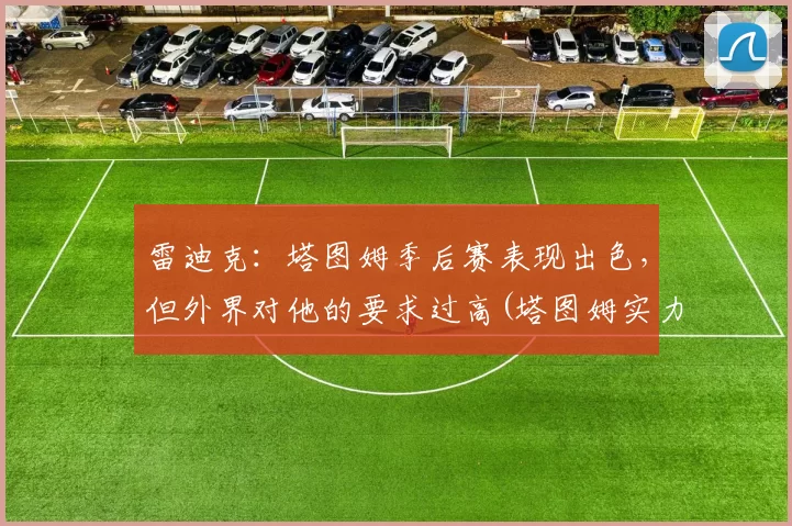雷迪克：塔图姆季后赛表现出色，但外界对他的要求过高(塔图姆实力)