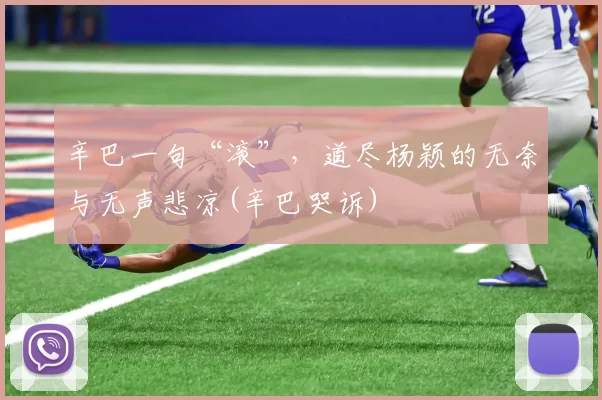 辛巴一句“滚”，道尽杨颖的无奈与无声悲凉(辛巴哭诉)